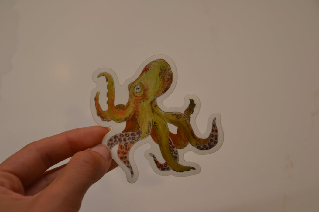 Octopus Sticker