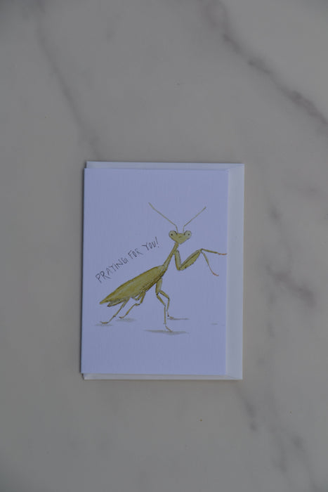 "Smalls - Praying Mantis"