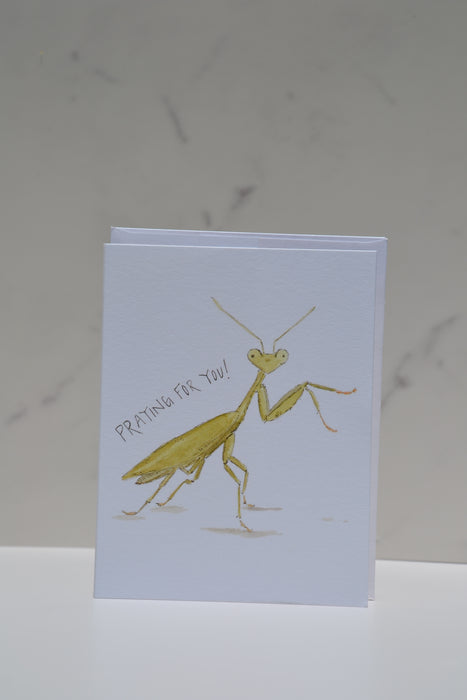"Praying Mantis"