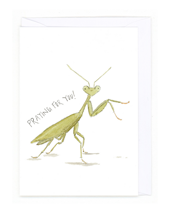 "Smalls - Praying Mantis"