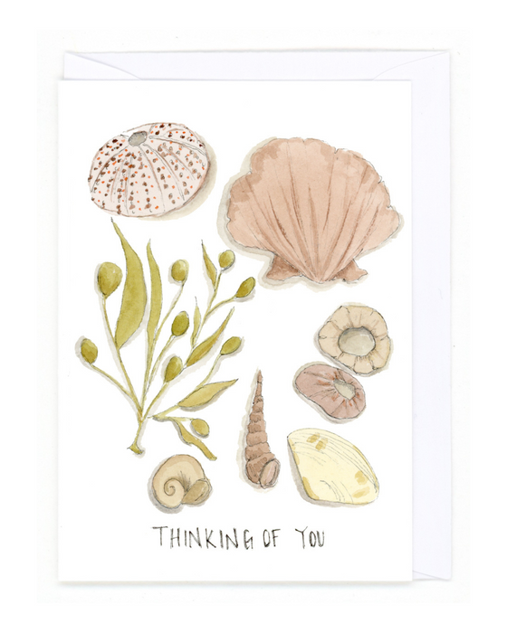 "Smalls - Seashells"