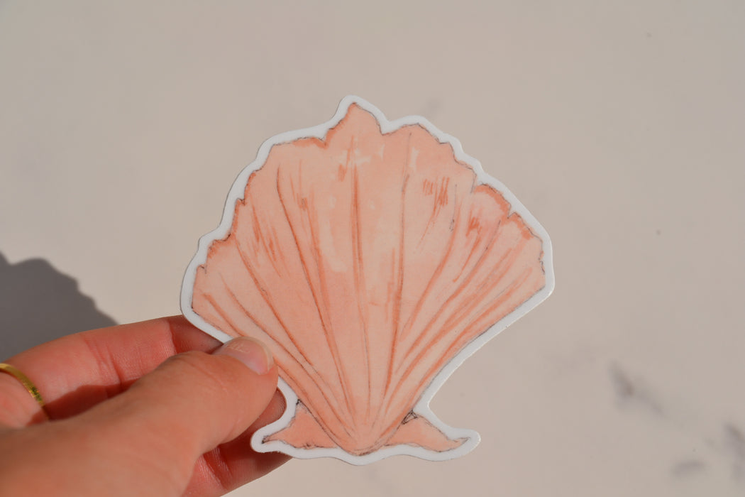Seashell Sticker