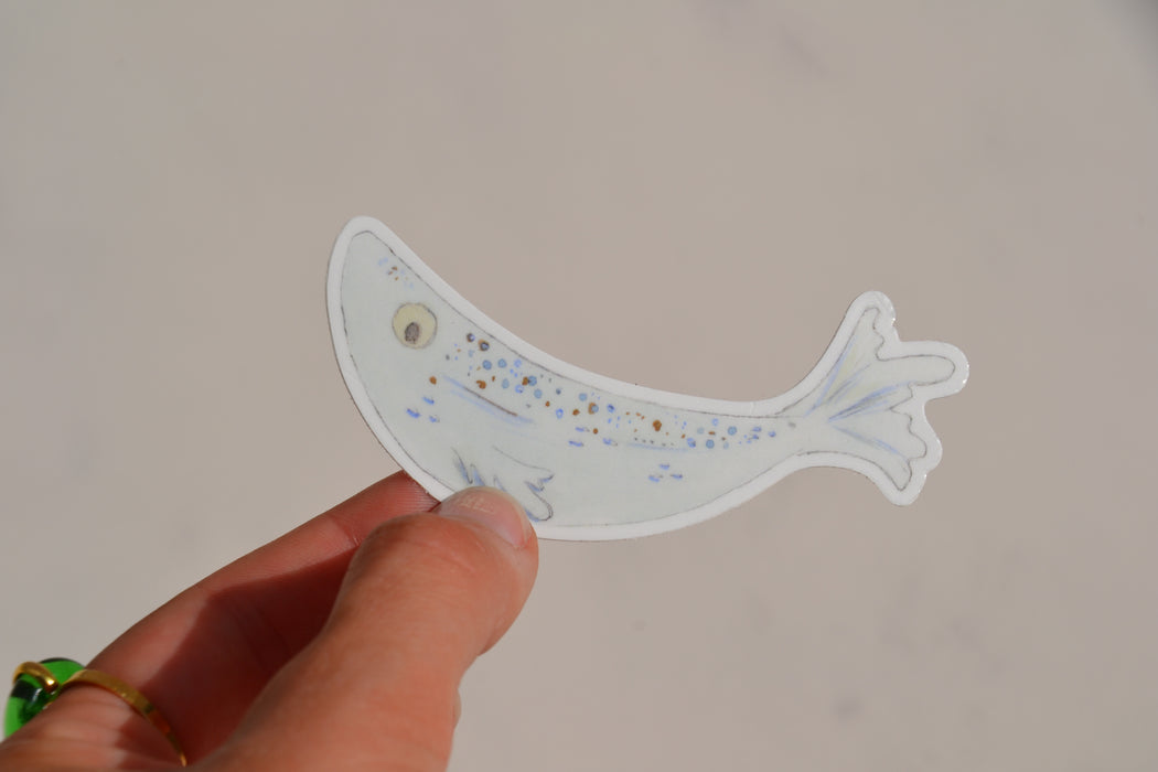 Single Sardine Sticker